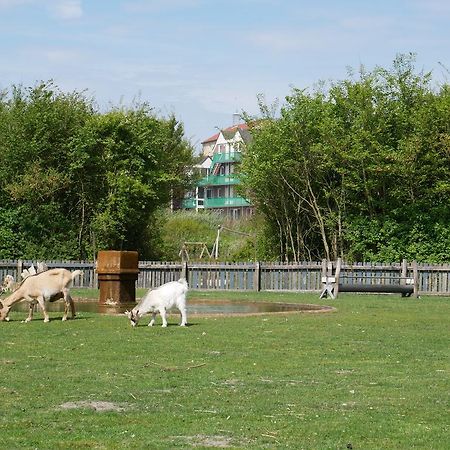 Huize De Duinen Bergen aan Zee Exterior foto