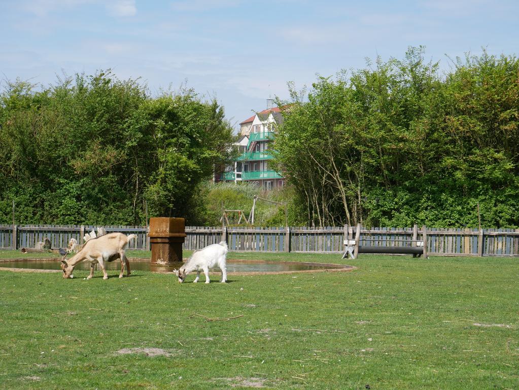 Huize De Duinen Bergen aan Zee Exterior foto