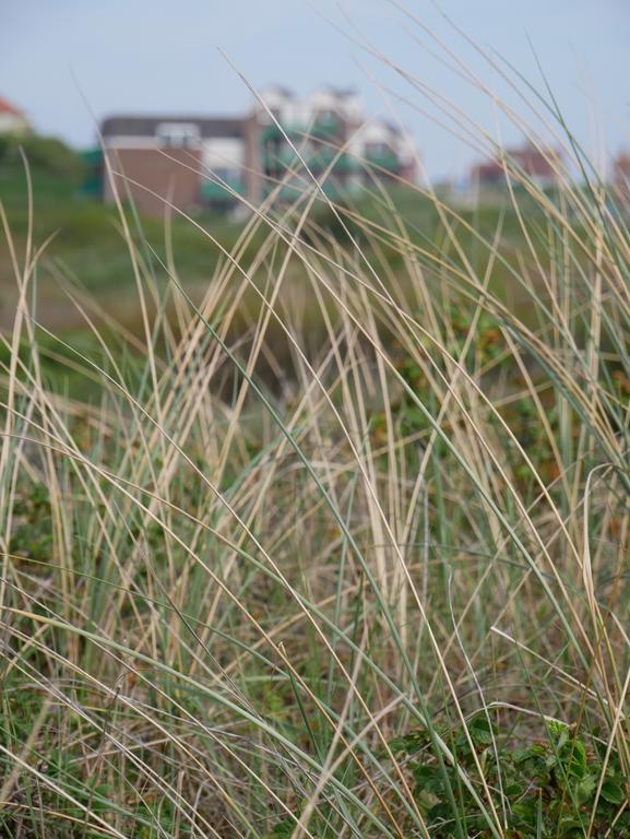 Huize De Duinen Bergen aan Zee Exterior foto