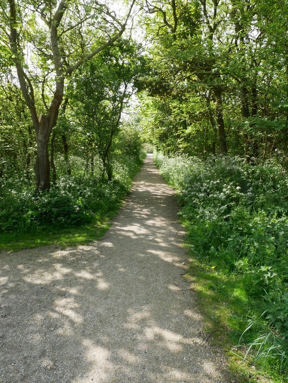 Huize De Duinen Bergen aan Zee Exterior foto