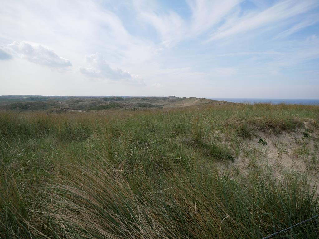 Huize De Duinen Bergen aan Zee Exterior foto